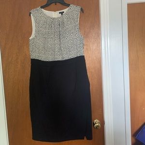 NWT Women’s Talbots Black & White dress.